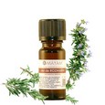 Ulei esential de rozmarin bio, 10 ml