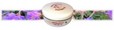 Unt de shea cu geranium